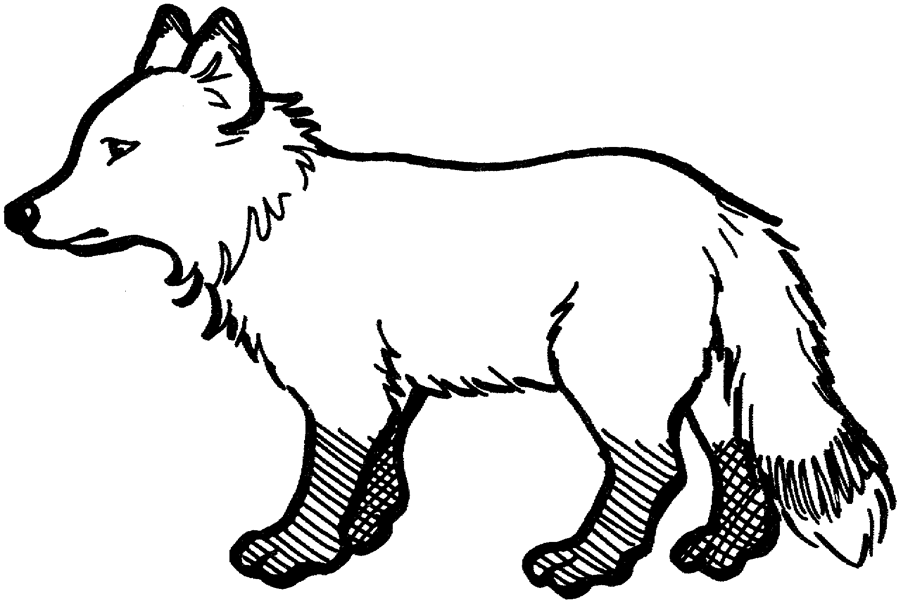 Fox Coloring Pages Kindergarten : Printable Coloring Sheet ~ Anbu 