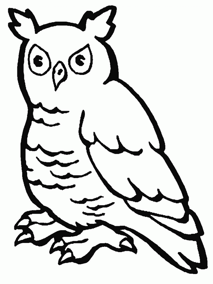 Owl Coloring Pages For Kids | Animals Coloring Pages For Kids