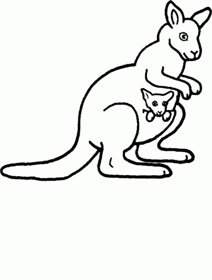 Kangaroo Coloring Book Pages