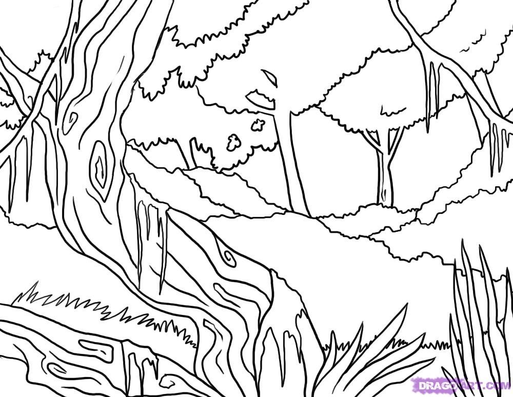 How to Draw a Jungle, Step by Step, Landscapes, Landmarks & Places 