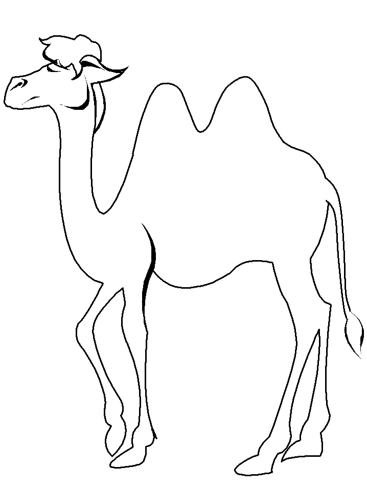 Camel Colouring Book | Coloring