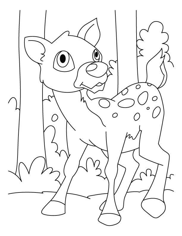 Baby Deer Coloring Pages For Girls