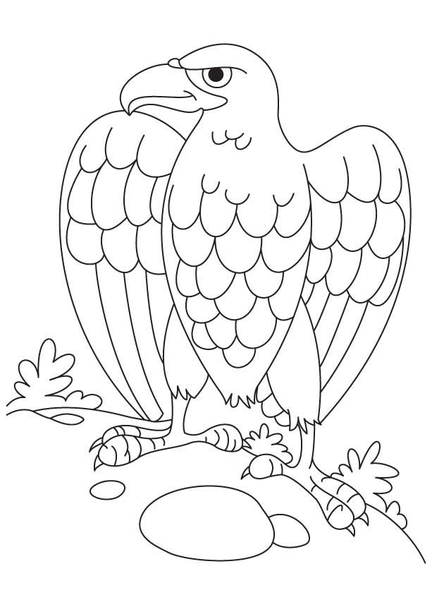 Bald Eagle Coloring Pages