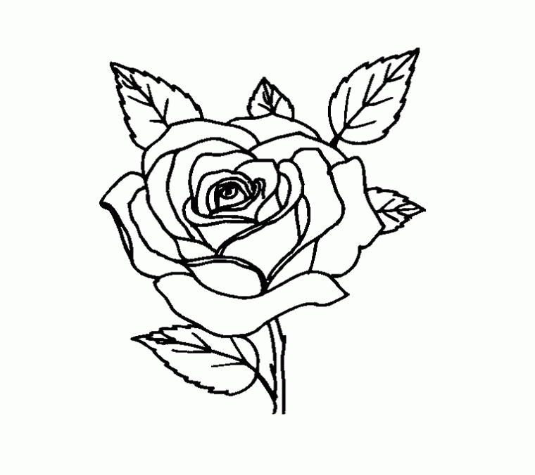 Rose Flower Unique Coloring Page For Kids - Flower Coloring Pages 