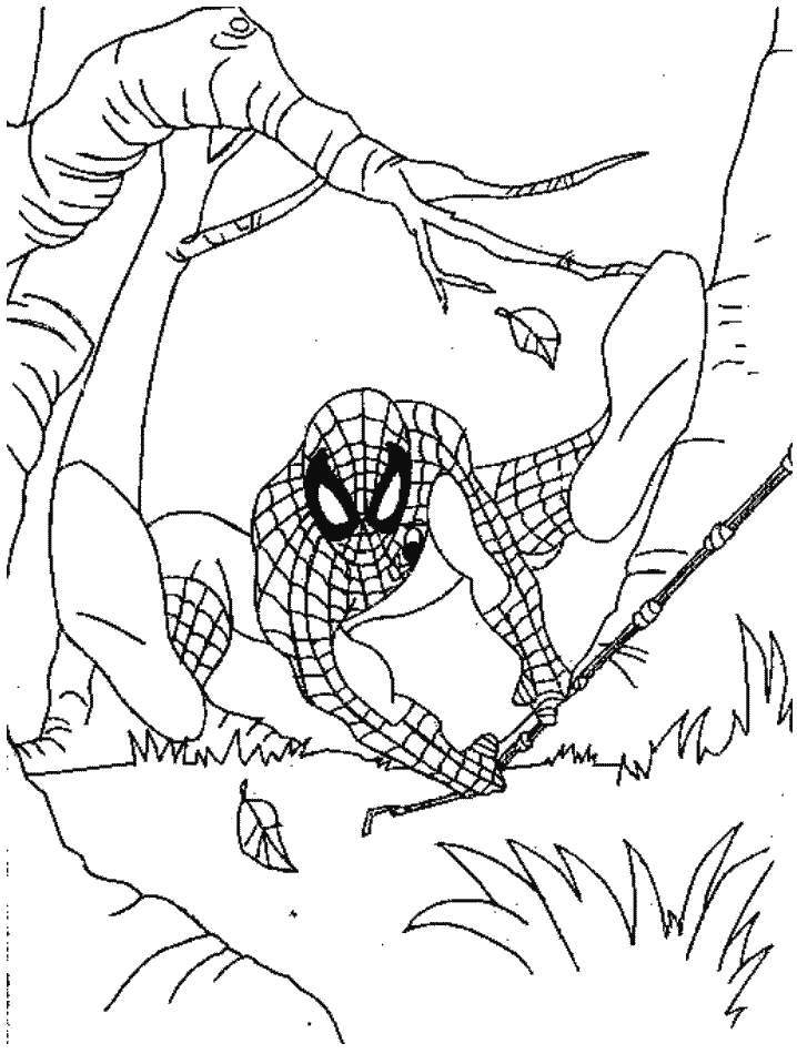 Disney Cartoon Spiderman Nice Coloring Pages