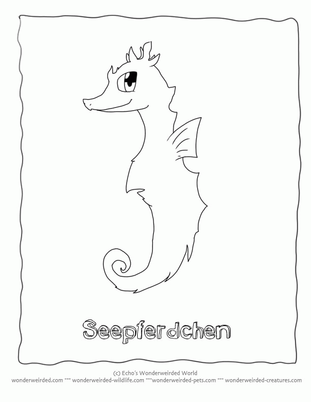 Cartoon Animals Coloring Pages Seahorse, Fantasy Coloring Pages of 