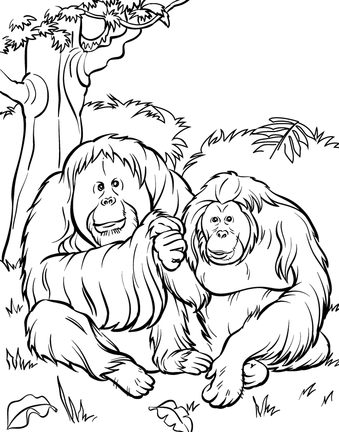 Coloring Page Illustrator Coloring Book Illustrator USA Artist