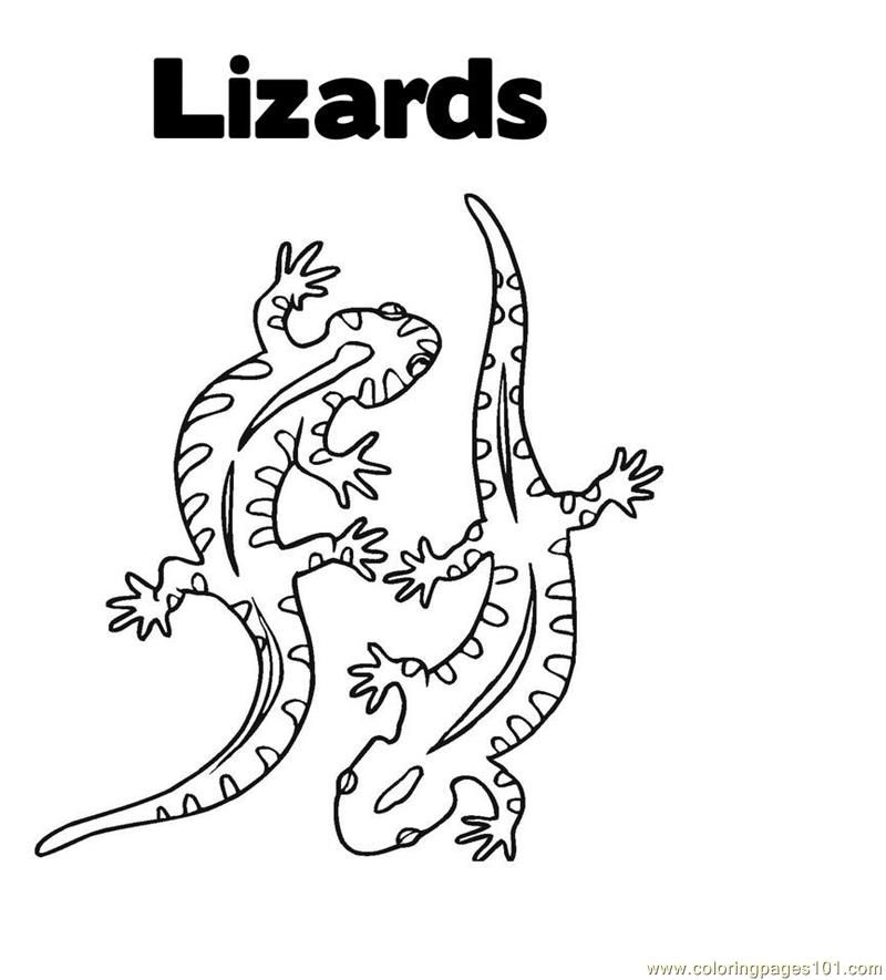 lizarlizard Colouring Pages (page 2)