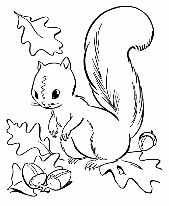 Fall Coloring pages - Squirrel Collecting Acorns Coloring Page 
