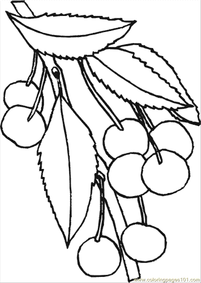 Coloring Pages Cherries (Food & Fruits > Cherries) - free 