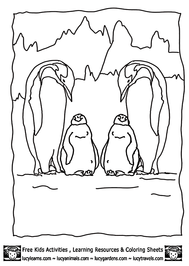 penguin family Colouring Pages