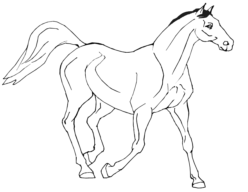 Do Not Appear When Printed Only The Horse Coloring Page Will Print 