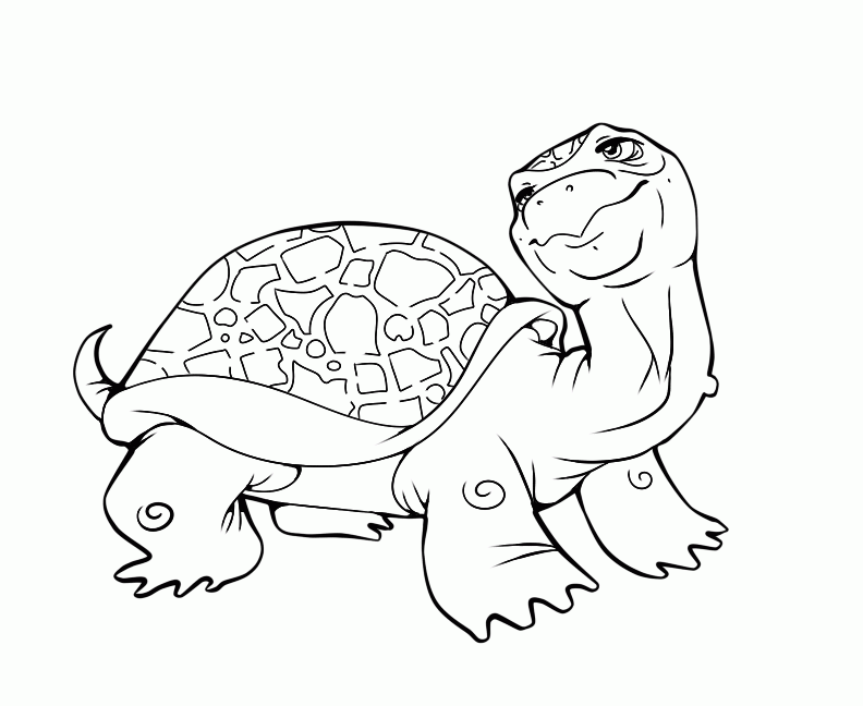 Turtle Coloring Pages Printable | Animal Coloring pages 
