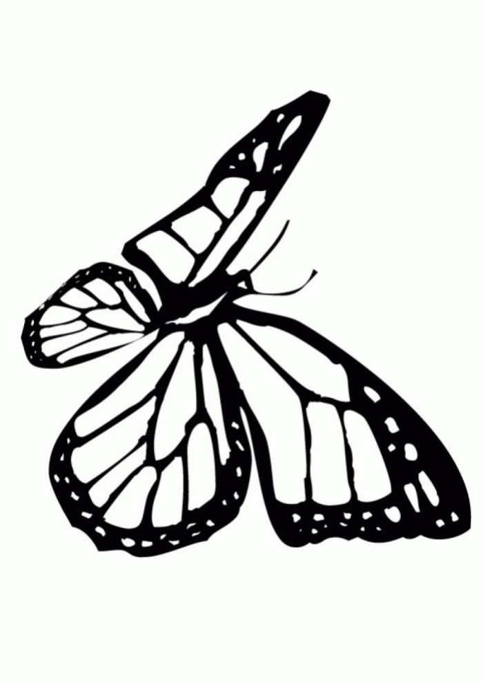 Butterfly Coloring Pages Crayola