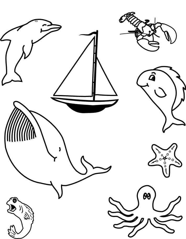 Sea animals crafts |Clickandseeworld is all about Funny|Amazing 