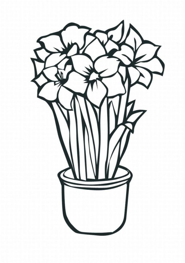 New Tropical Flower Coloring Pages Lrg | Laptopezine.