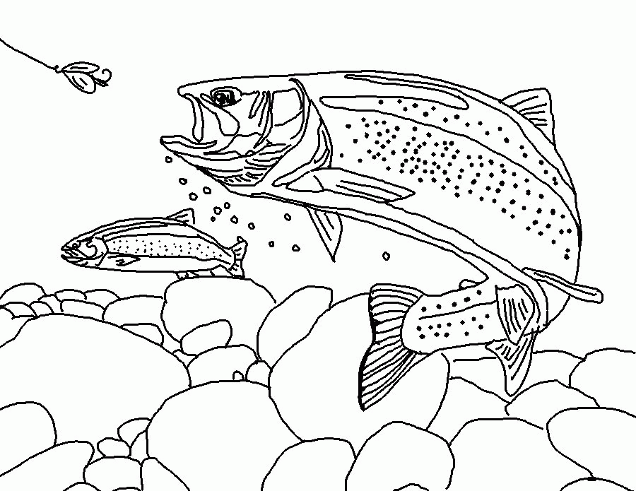 Coloring Page World: Rainbow Trout (Landscape)