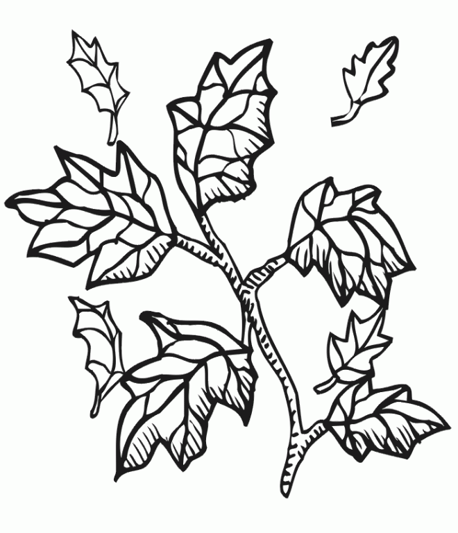 Kids Coloring Sheet | Printable Coloring Pages for Kids