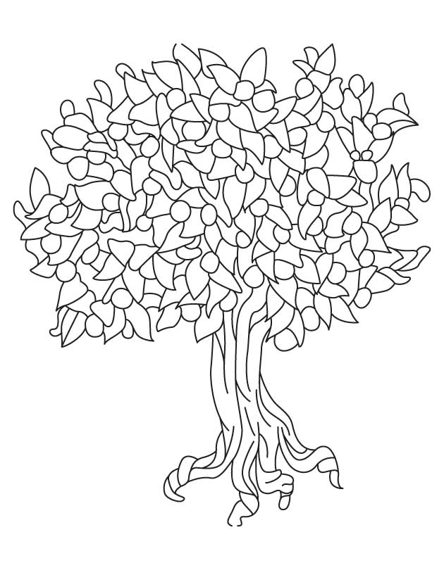 Pecan Tree Coloring Pages