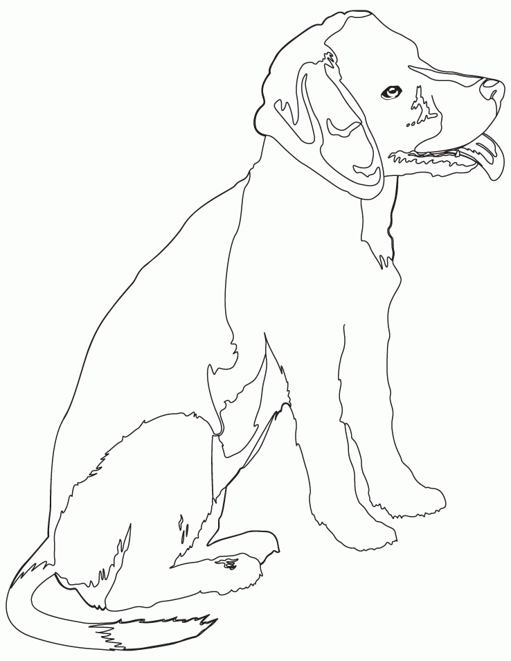 beagle puppy coloring page | Download Free beagle puppy coloring 