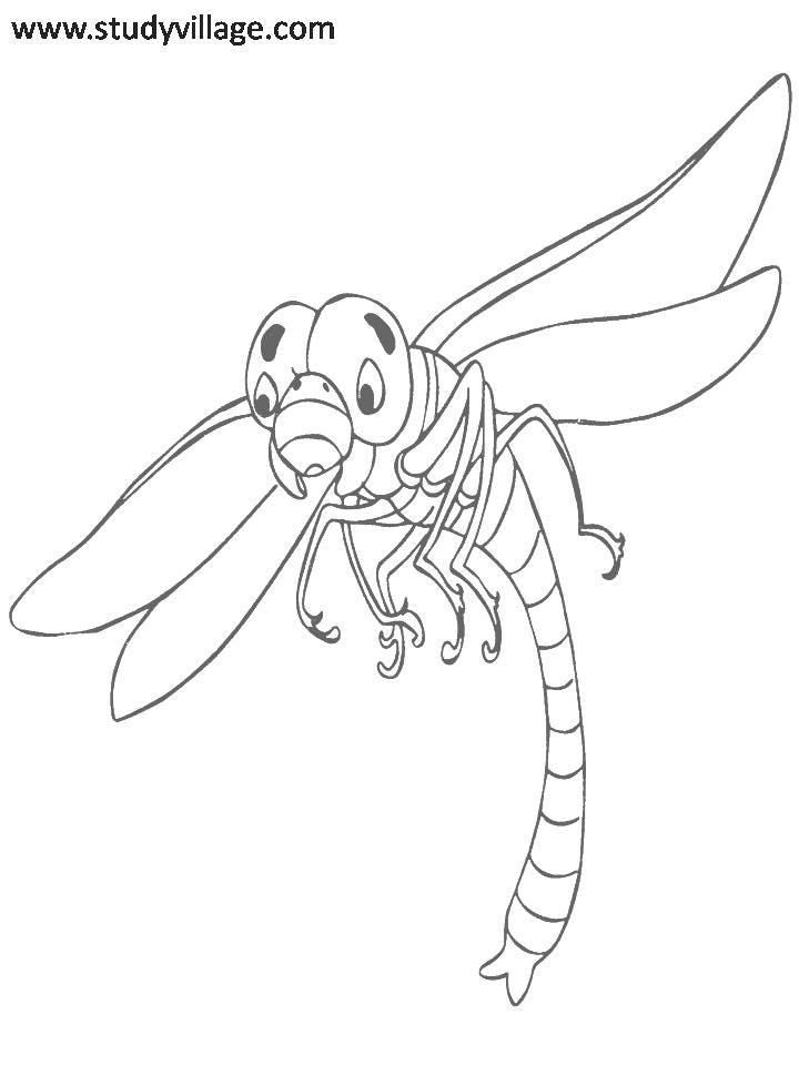 Funny Insects printable coloring page for kids 8: Funny Insects 