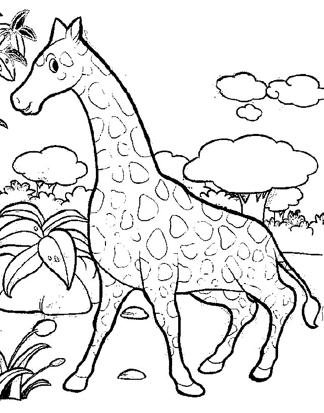 Coloring picture of animals