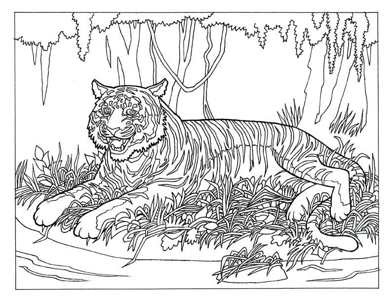 Animal Coloring Hard Printable Coloring Pages For Teenagers 