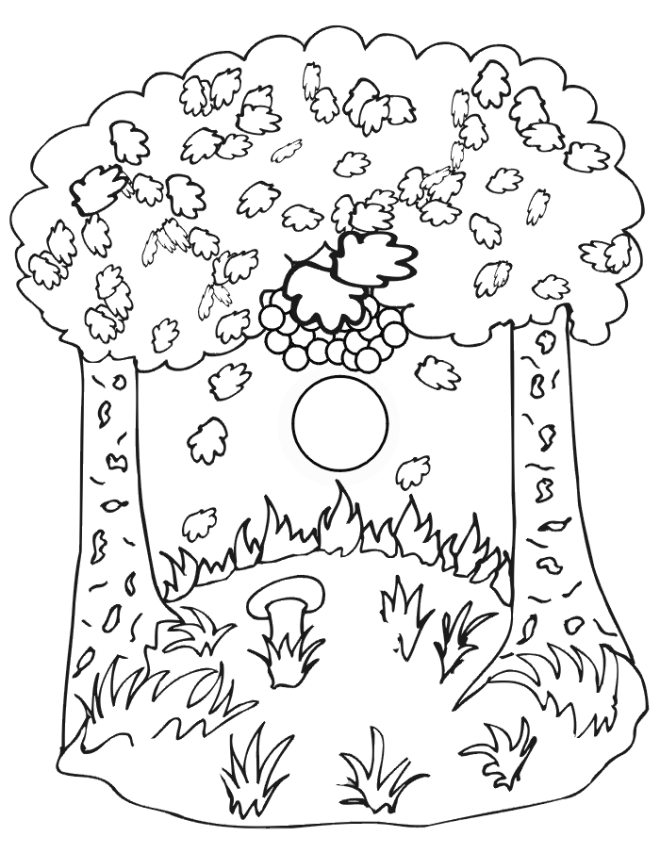 Fall coloring pages Online Printable | Coloring Pages For Child 