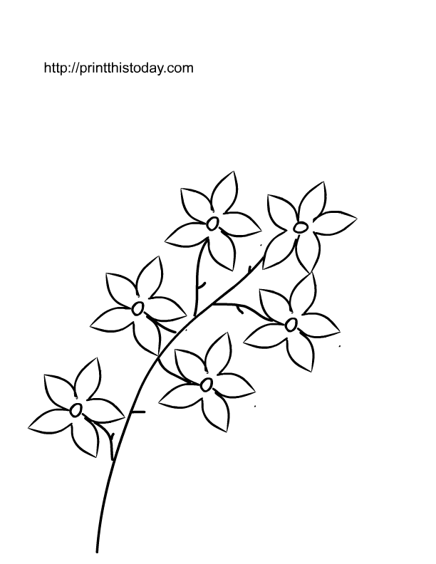 printable coloring pages of thanksgiving firm pro