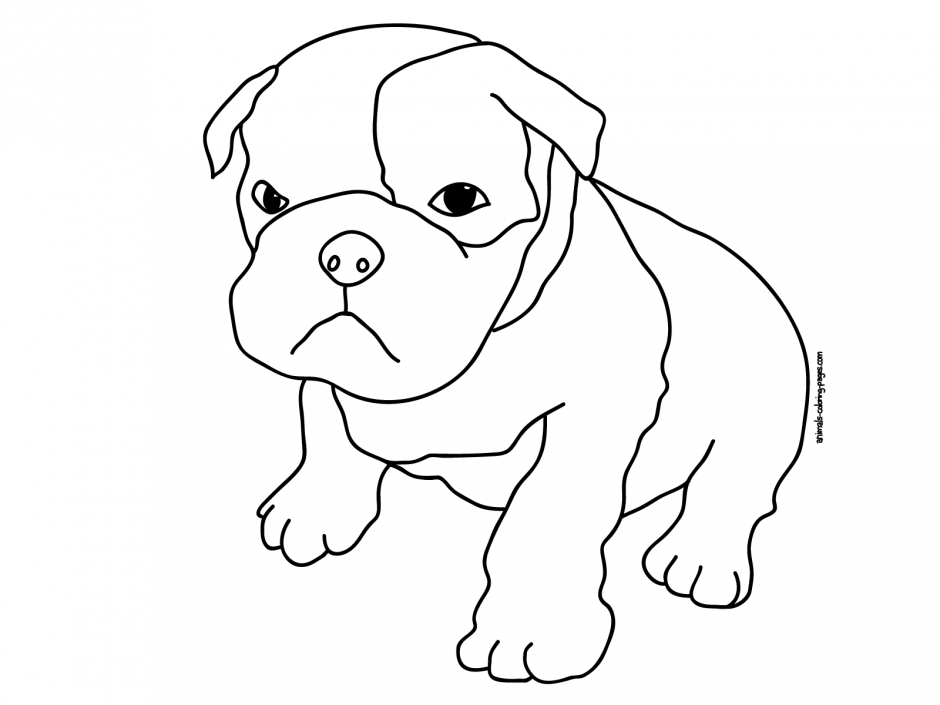 Puppy Picture Coloring Pages Puppies Coloring Pages Printable 