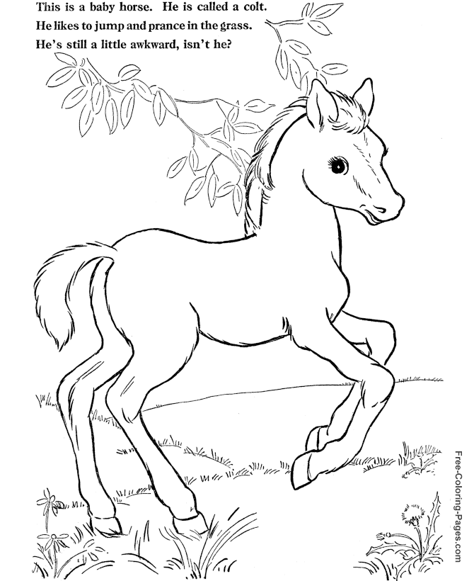Coloring book pages of horses - 014