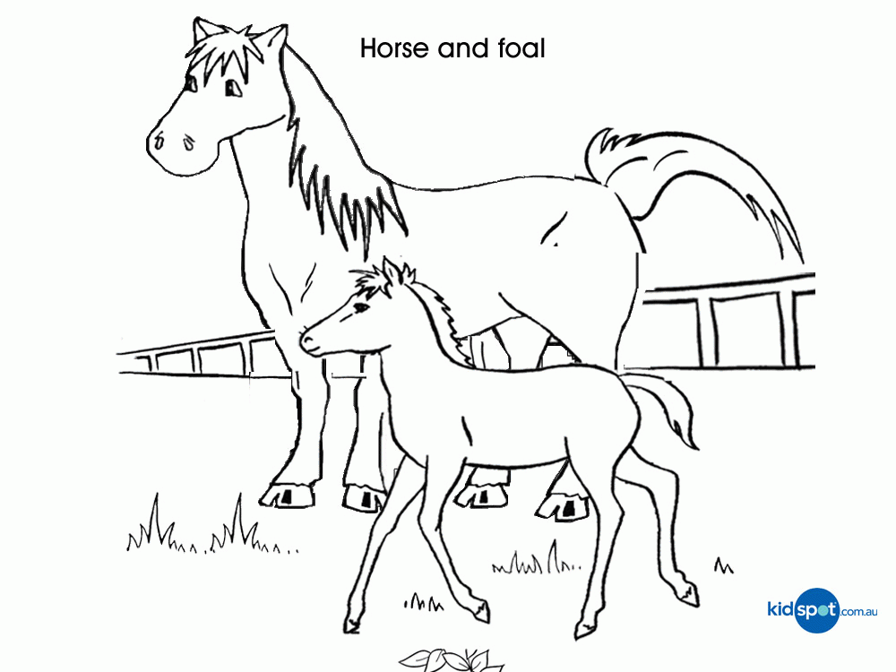 Baby Animals - Kids Activities - Colouring Pages
