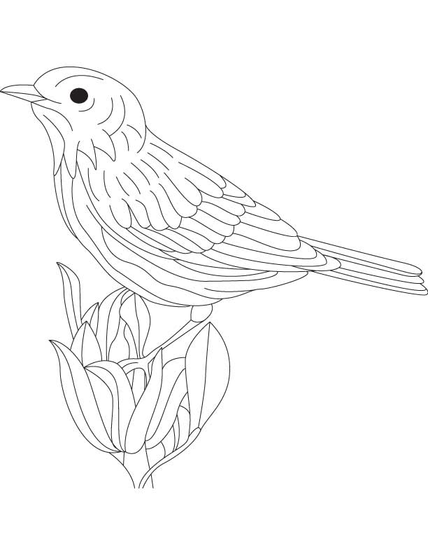 Smart goldfinch coloring pages, Kids Coloring pages, Free 