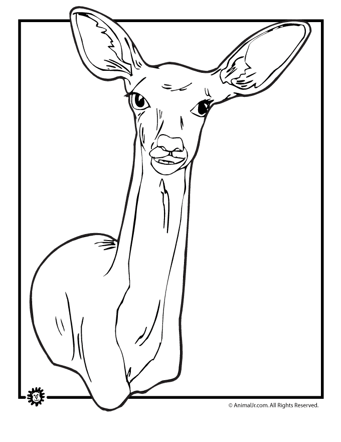 Doe Colouring Pages (page 3)