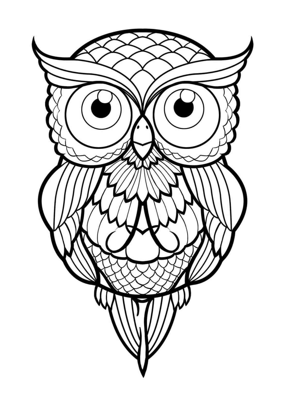 My love Owl | Owls drawing, Owl coloring pages, Cute owl drawing