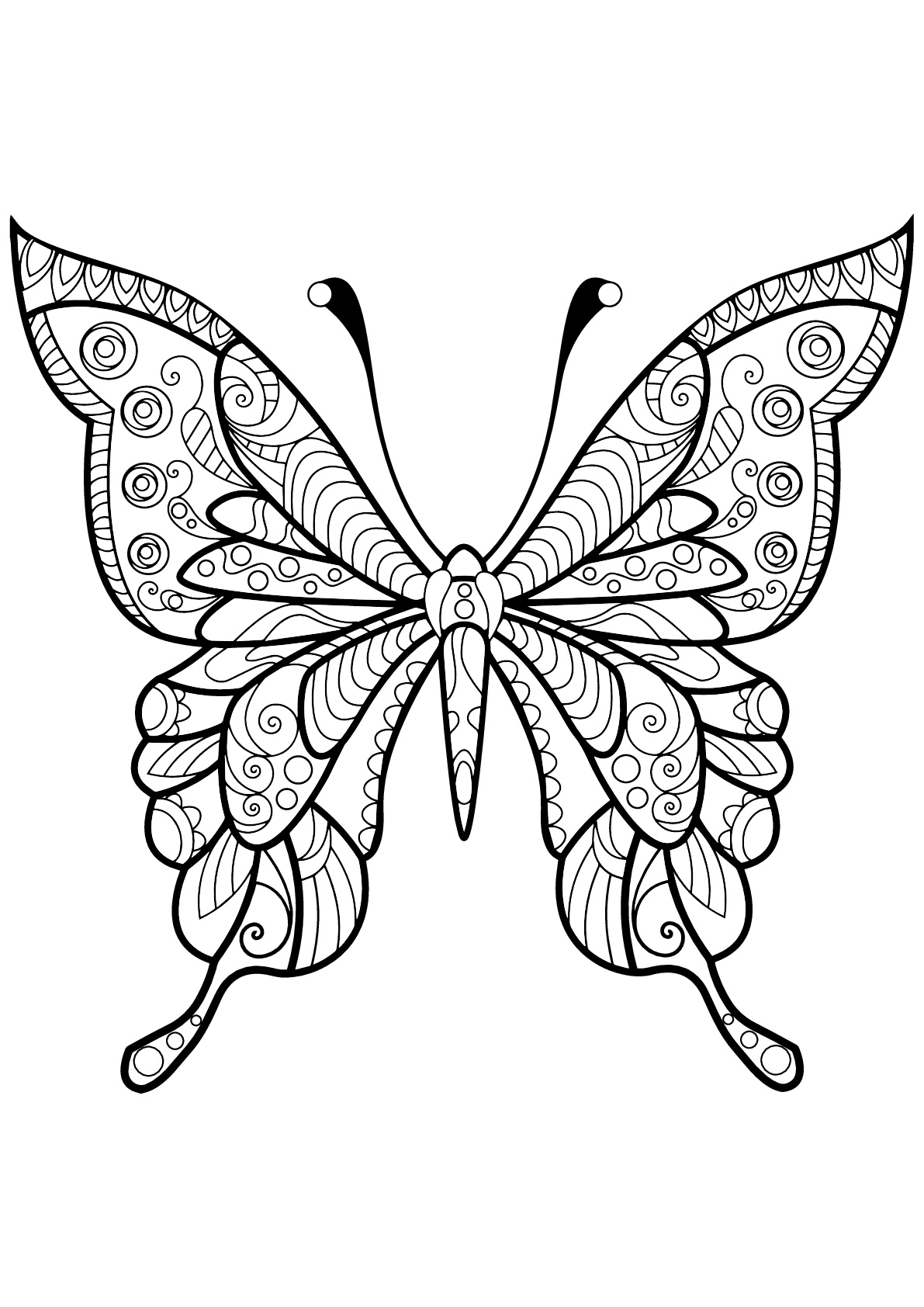 Butterfly beautiful patterns - 4 - Butterflies & insects Adult Coloring  Pages