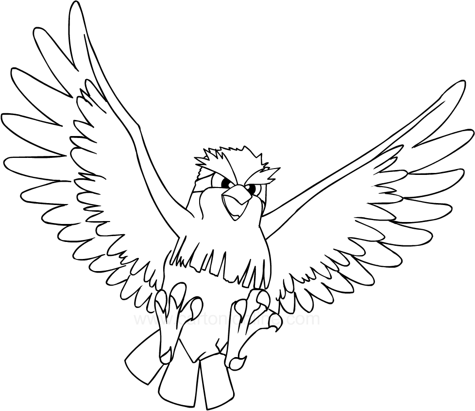 Drawing Pidgey of the Pokemon coloring page