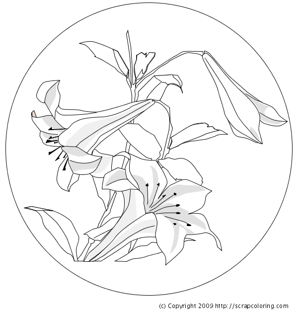 Lilies - Hokusai coloring page