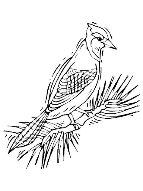 Blue Jays Coloring Pages - Learny Kids
