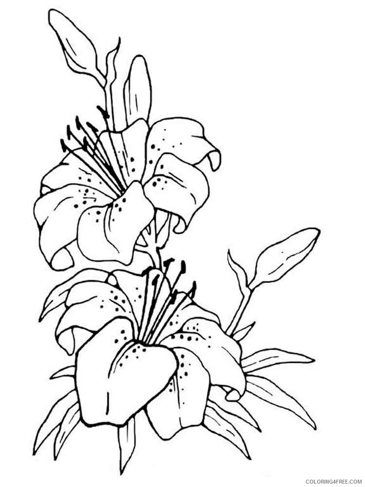 Lilies Coloring Pages Flowers Nature Lilies flower 2 Printable 2021 234  Coloring4free - Coloring4Free.com