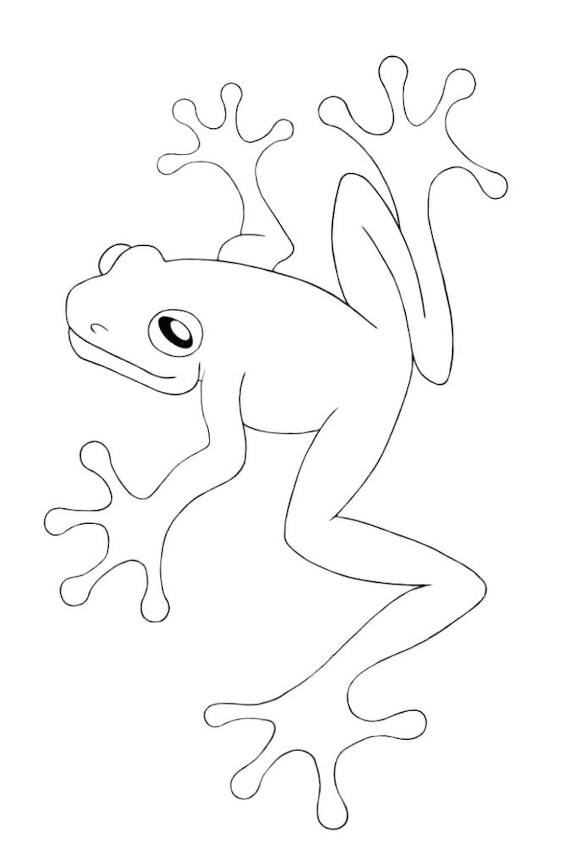coloring : Ohio State Coloring Pages Fresh Frog Coloring Pages Clipart And  Other Free Printable Ohio State Coloring Pages ~ queens