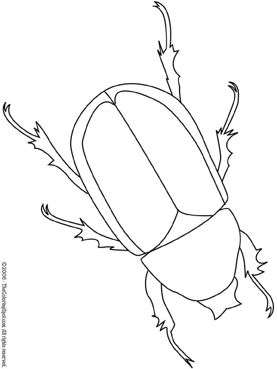 Beetle Coloring Page | Audio Stories for Kids | Free Coloring Pages |  Colouring Printables