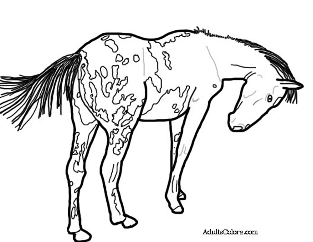 Horse Coloring Pages: Pick and Print Your Pony