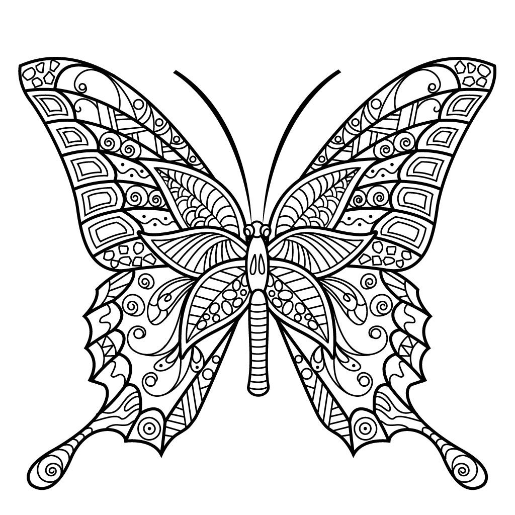 Pin on Butterfly Coloring Pages