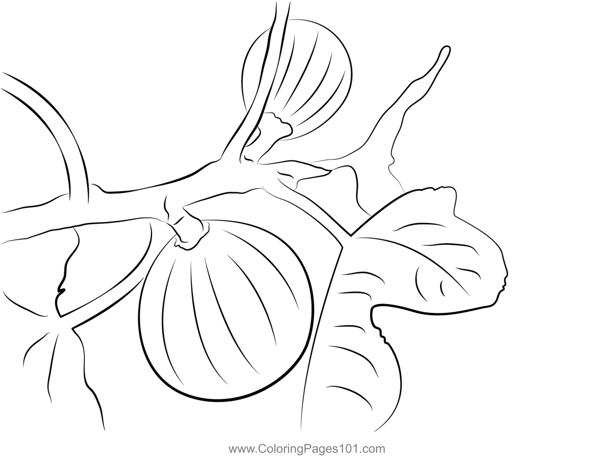 Fig Intree Coloring Page for Kids - Free Fig Printable Coloring Pages  Online for Kids - ColoringPages101.com | Coloring Pages for Kids