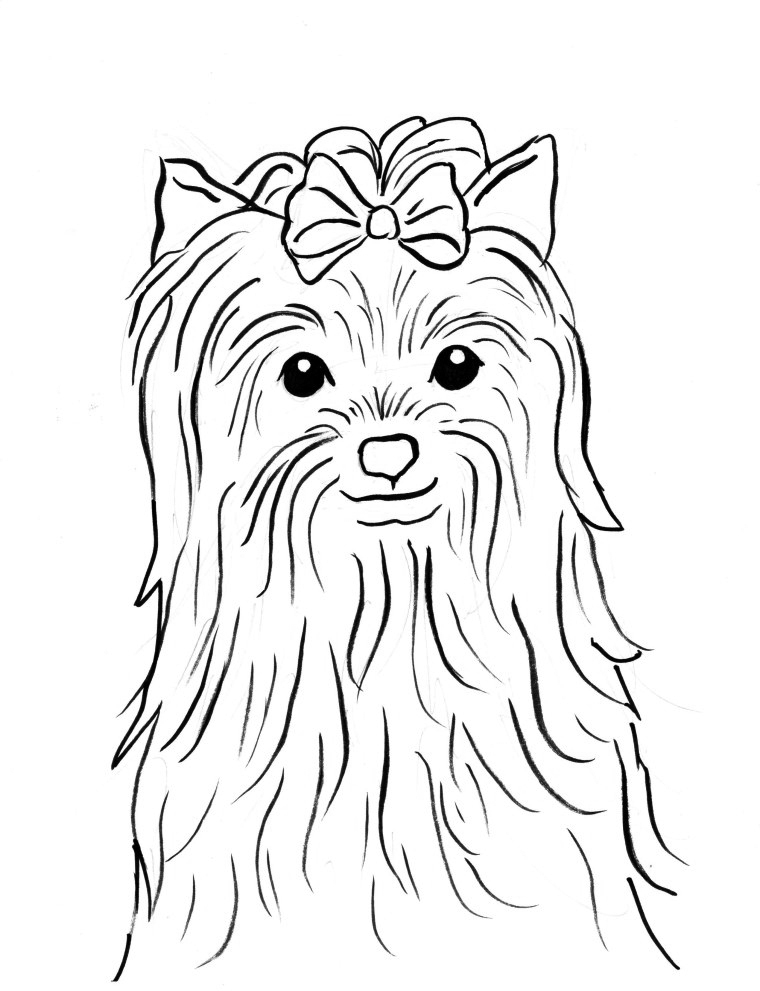 Yorkie Coloring Pages - Best Coloring Pages For Kids