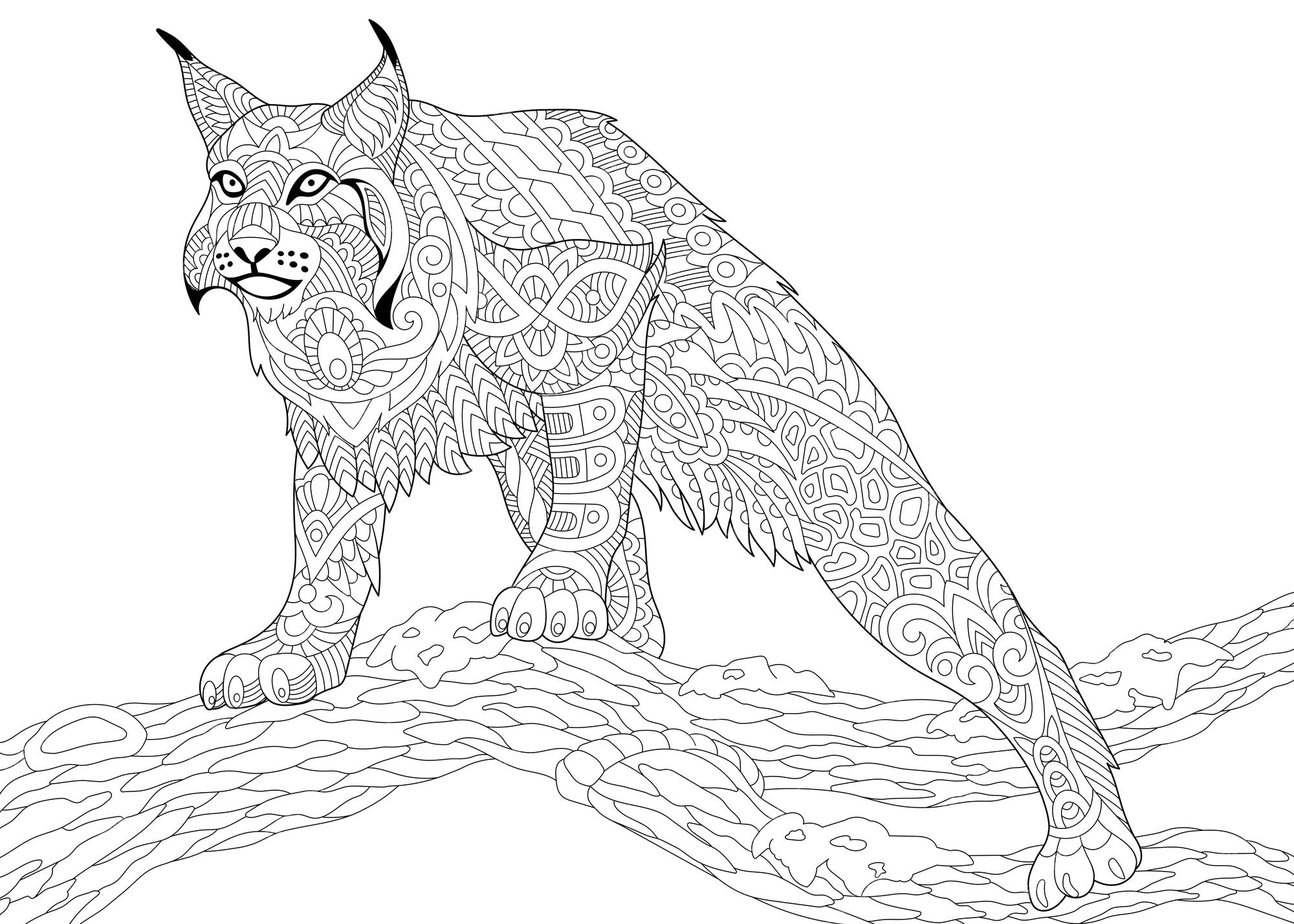 Lynx. zentangle colouring illustration ...