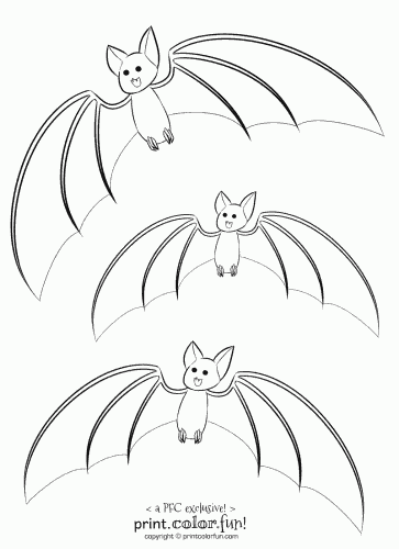 3 cute bats - Print Color Fun!