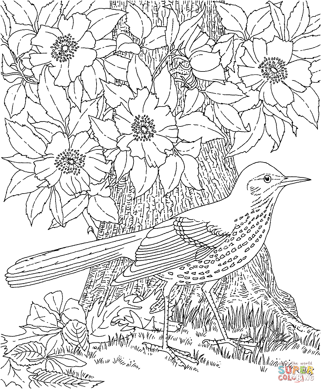 Brown Thrasher and Cherokee Rose Georgia Bird and Flower coloring page |  Free Printable Coloring Pages