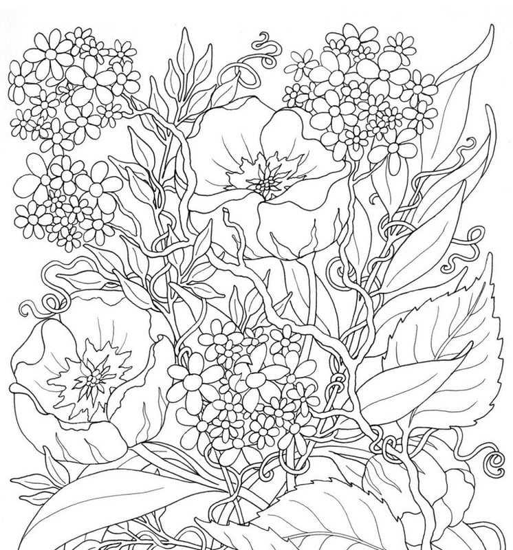 Coloring pages for adults: Summer, printable, free to download, JPG, PDF